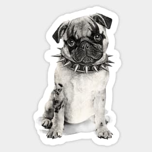 Heavy Metal Pug Sticker